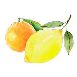 Orange-and-Lemon-Oils